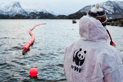 Foto fra WWF-Norge sin kampanje i Lofoten. Fotograf: © Jørgen Kvalsvik